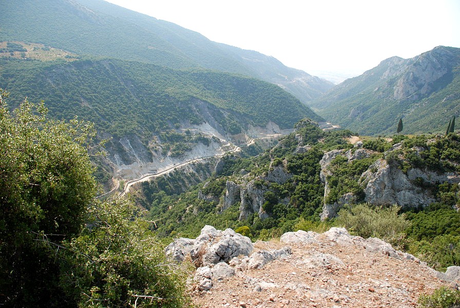 dsc_5345.jpg