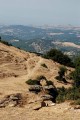 dsc_5350