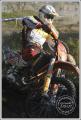 dsc_3528