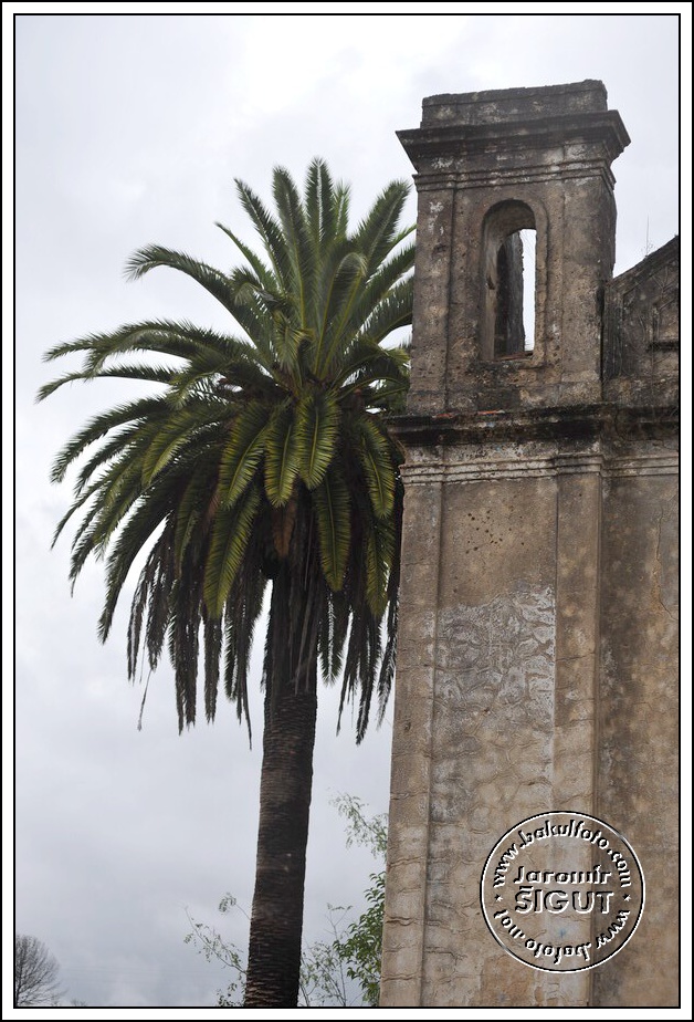 ut_0021.jpg