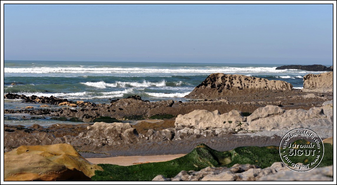 dsc_9492.jpg