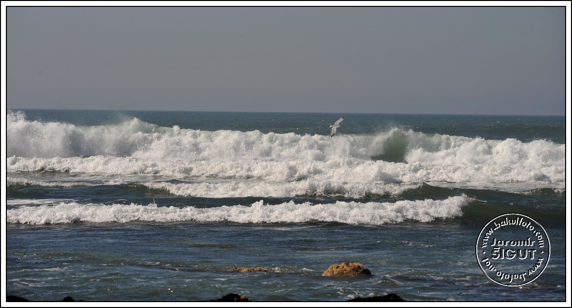 dsc_9493.jpg