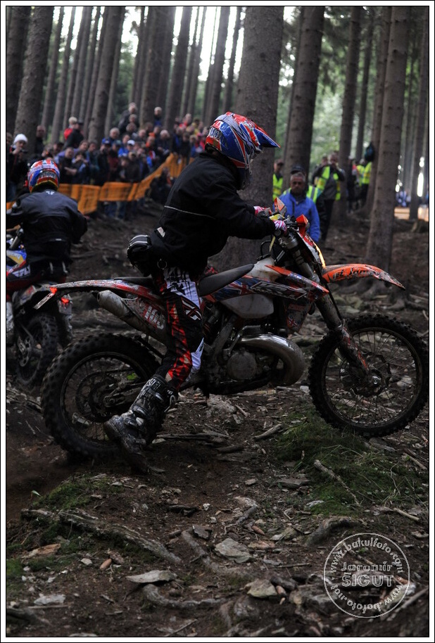 dsc_1195.jpg