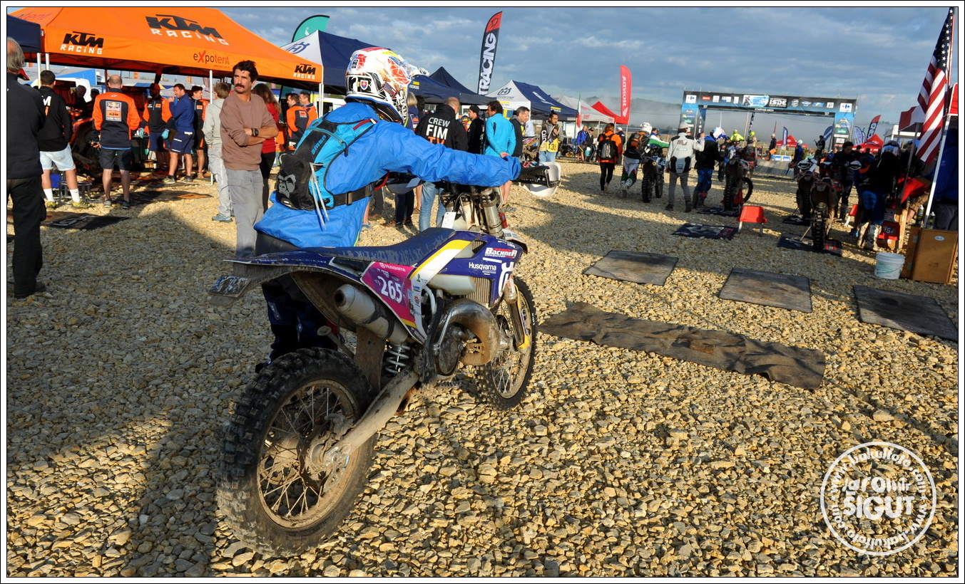 dsc_5377.jpg